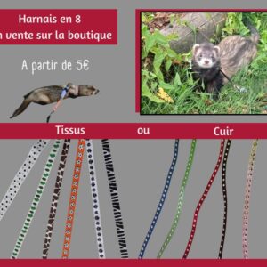 Harnais en 8 pour furet