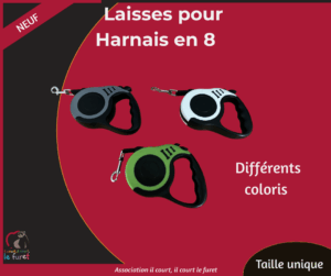 Laisse-enrouleur pour Harnais en 8