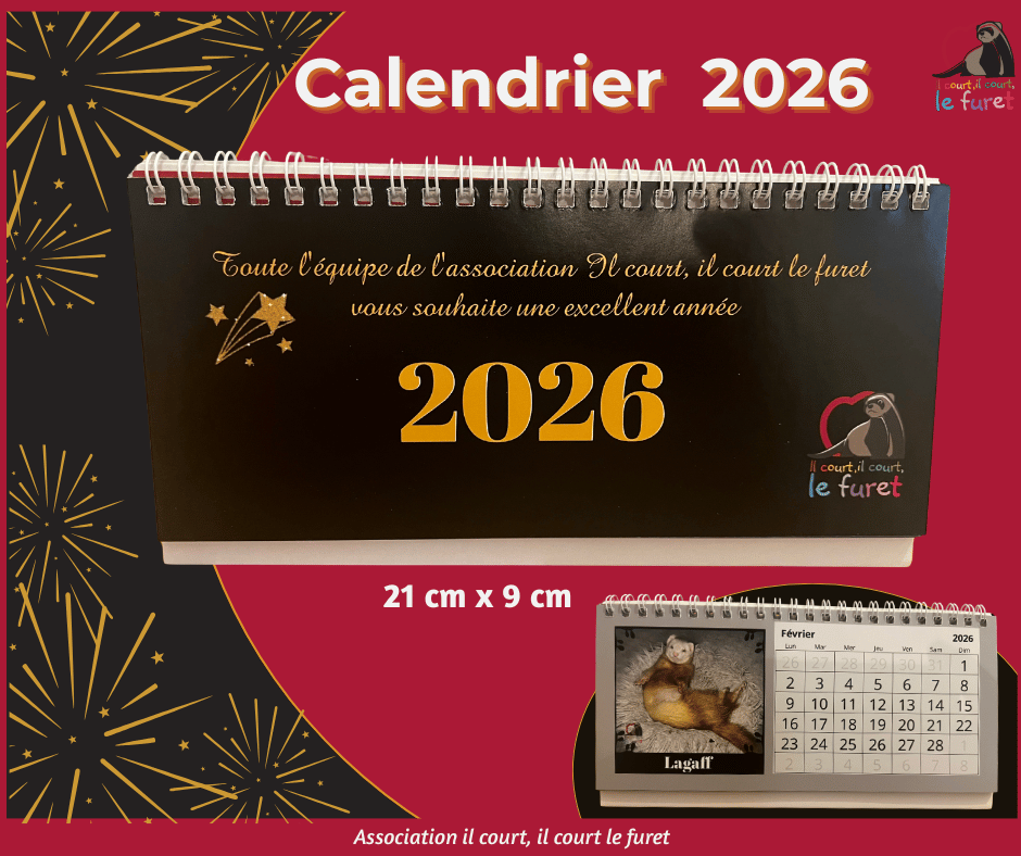 Calendrier 2026 avec des furets