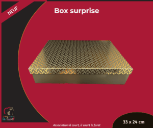 Boîte surprise