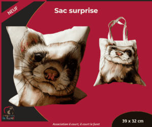 Sac surprise Boy