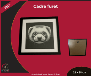 Cadre furet