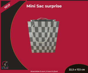 Mini sac surprise