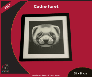 Cadre furet