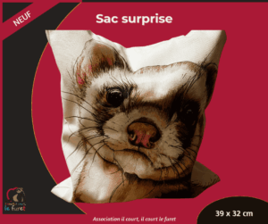 Sac surprise Boy