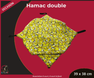 Hamac double Pikachu