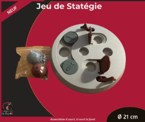 Jeux d&rsquo;intelligence pour furets