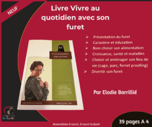 Livre Vivre au Quotodien avec son furet -Elodie Barrillié-