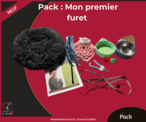 Pack : Mon premier furet