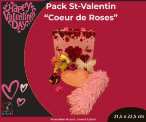 Pack Saint-Valentin Coeur de Roses