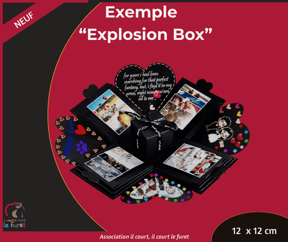 Pack Explosion Box à personnaliser – Image 4