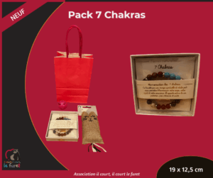 Pack 7 chakras
