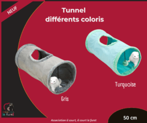 Tunnel de Jeu avec balle