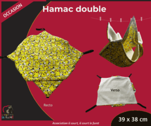 Hamac double Pikachu