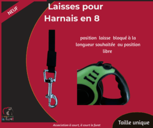 Laisse-enrouleur pour Harnais en 8