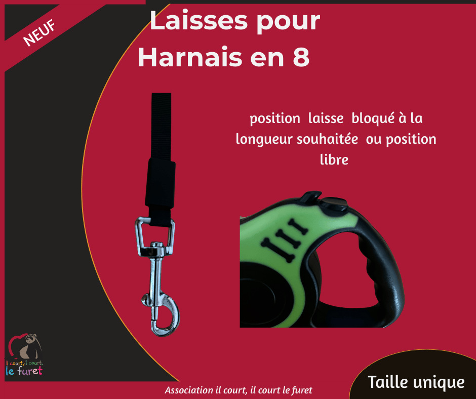 Laisse-enrouleur pour Harnais en 8 – Image 2