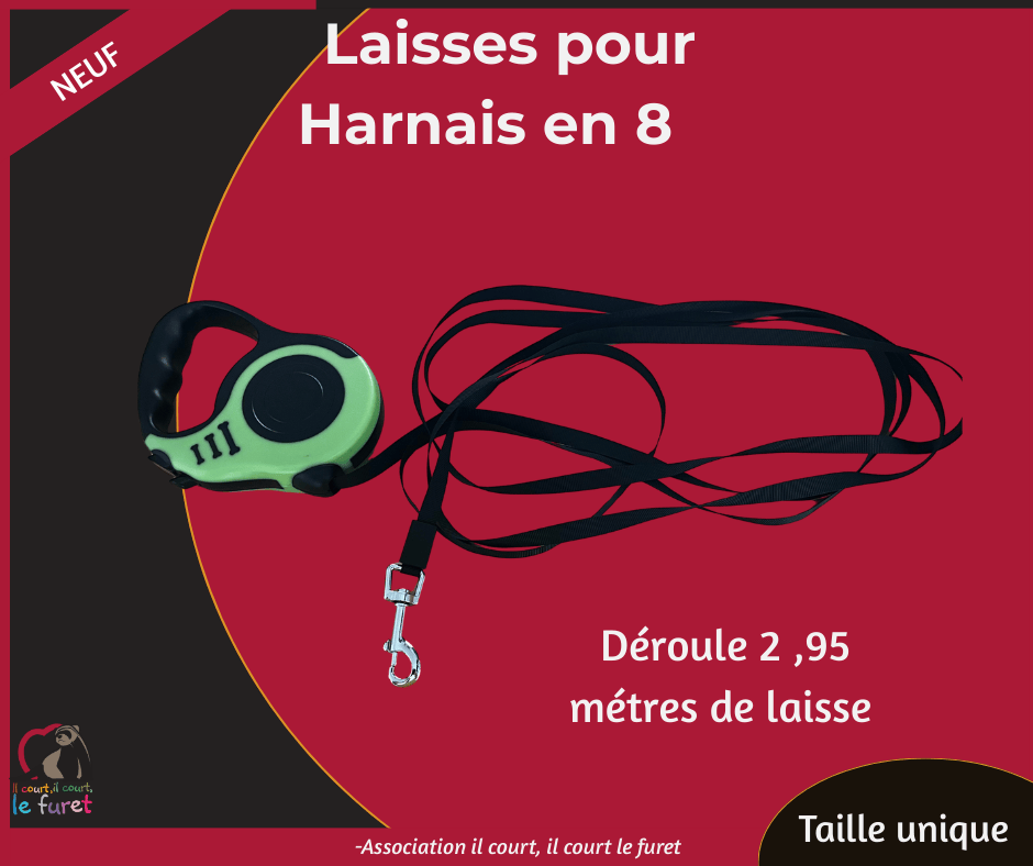 Laisse-enrouleur pour Harnais en 8 – Image 3