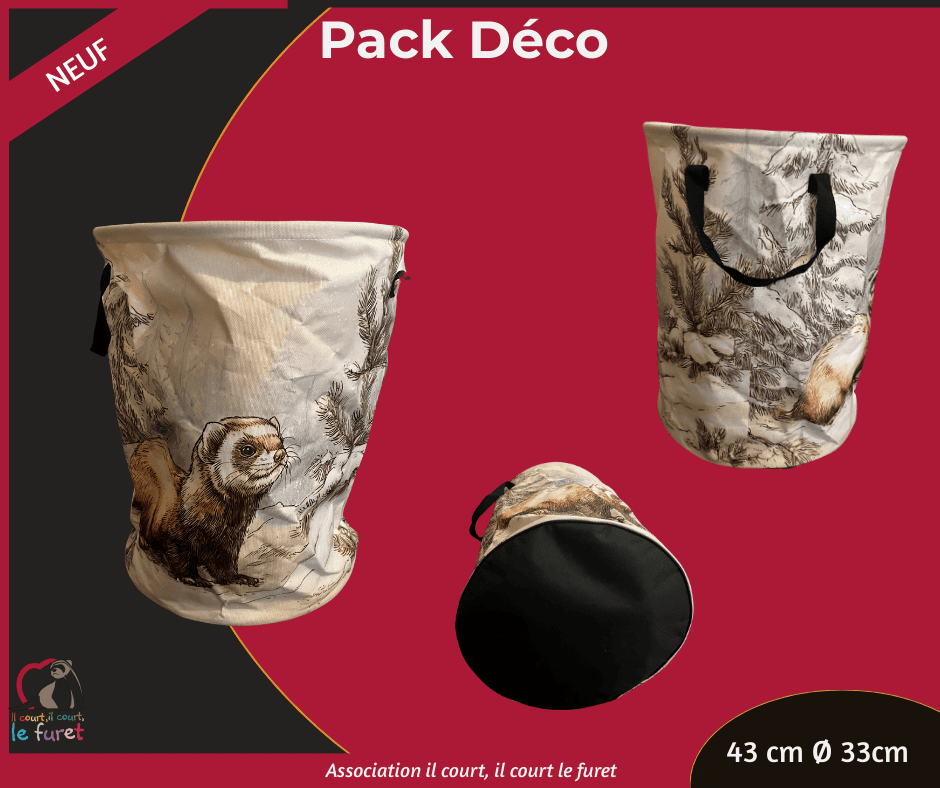 Pack Décoration – Image 2