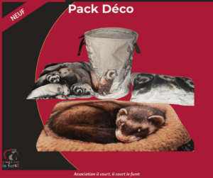 Pack Décoration