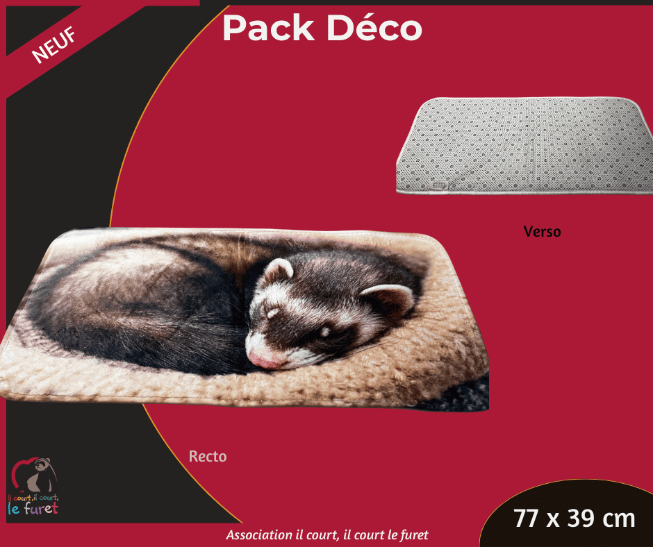 Pack Décoration – Image 3