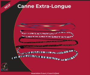 Canne de Jeux Extra-Longue