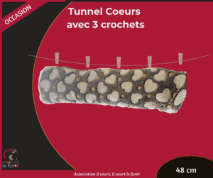 Tunnel Cœurs