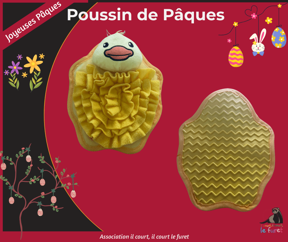 Poussin de Pâques – Image 2