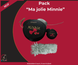 Pack « Ma Jolie Minnie »