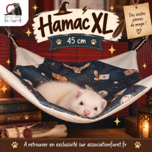 Hamac ecole de magie Poudlard