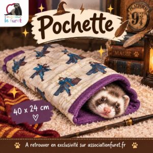 Duo de dodos Harry Potter pour furets