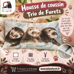 Housse de coussin furets endormis