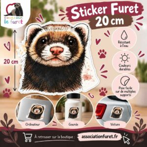 Sticker furet XL