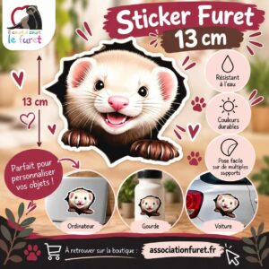 Sticker furet qui rigole